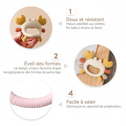 Anneau de dentition crabe - textures massantes pour les gencives
